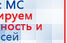 СКЭНАР-1-НТ (исполнение 01 VO) Скэнар Мастер купить в Фрязине, Аппараты Скэнар купить в Фрязине, Официальный сайт Дэнас kupit-denas.ru